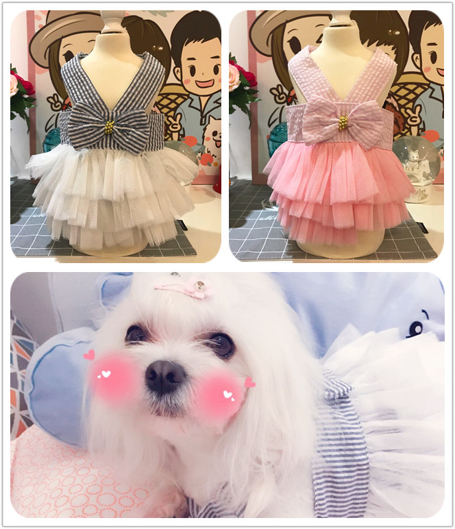 寵物狗公主蝴蝶結連衣裙狗裙泰迪狗衣服比熊春夏裝博美約克夏